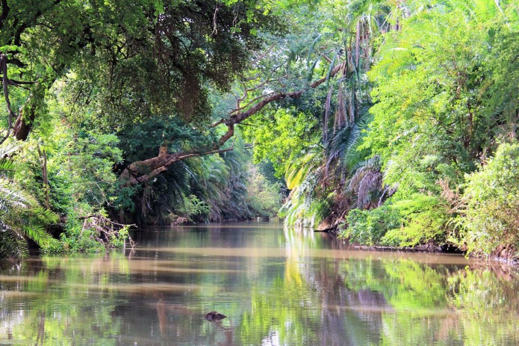 Meru national park in Meru County