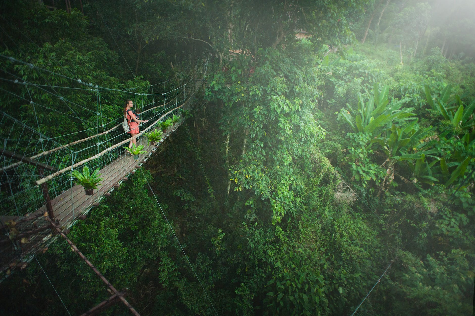 girl wearing pink dress standing on bridge above trees